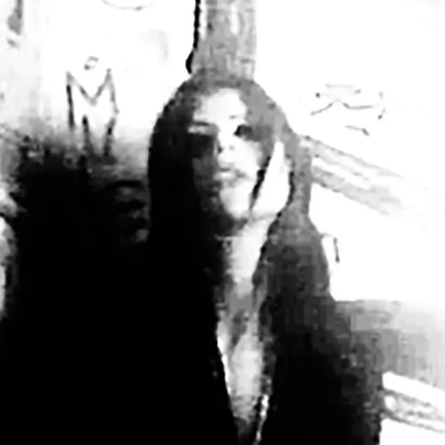TARANEH artist photo