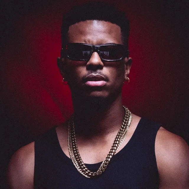 DJ Puffy artist photo