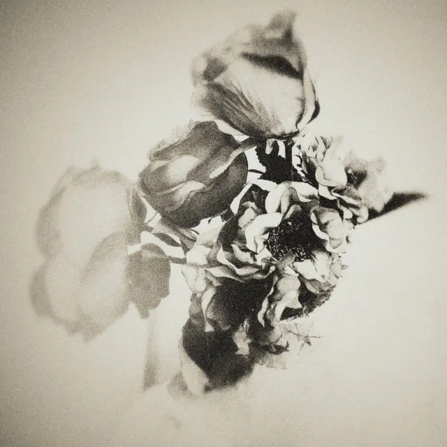 Under the Skin artist photo