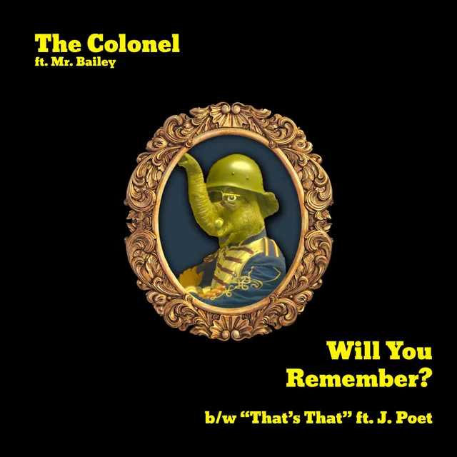 the Colonel artist photo