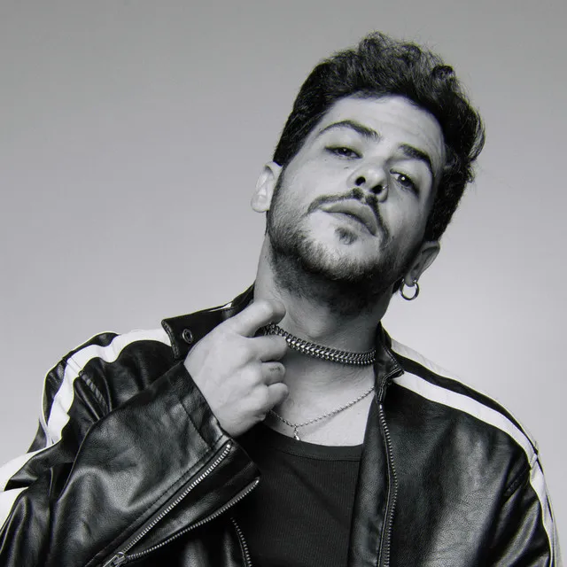 T-Puse artist photo