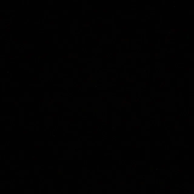 Estrella artist photo