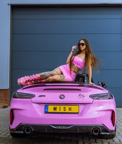 Mish artist photo