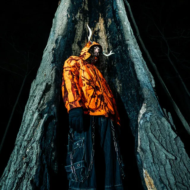 hhunter artist photo