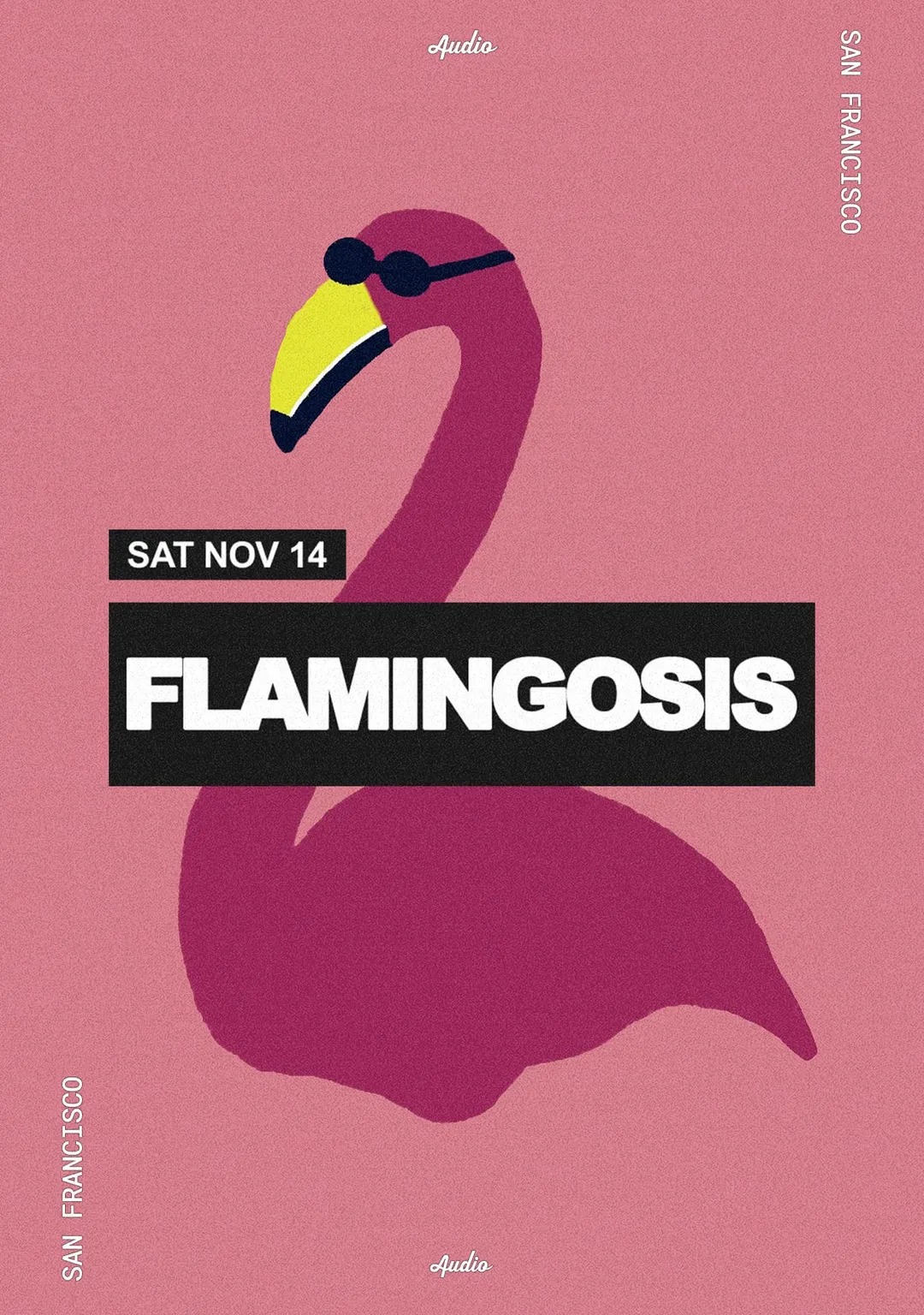 Flamingosis flyer