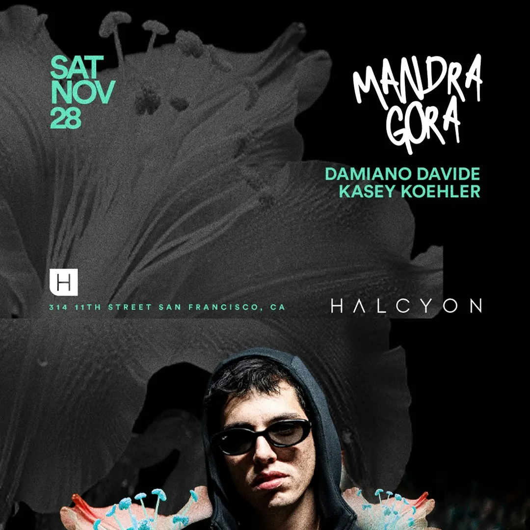 Mandragora flyer